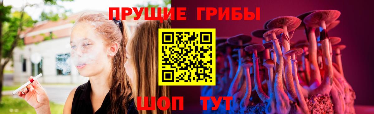 Торжок  Галлюциногенные грибы прущие грибы  Вход с VPN 